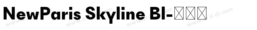NewParis Skyline Bl字体转换